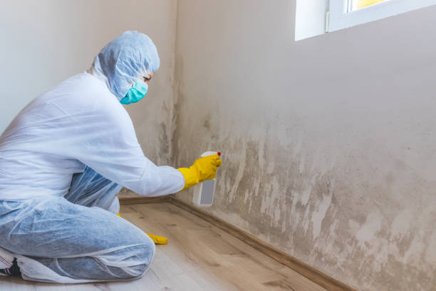 Mold inspector in Fallston performing thermal imaging